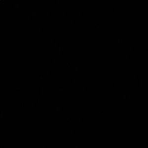 Meet your Posher, Jin